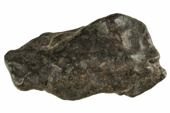 Carbonaceous Chondrite Meteorite ( g) - NWA #313724